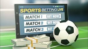 The Exciting World of Sofa Bet